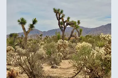 6925 Sunnyhill Road, Joshua Tree, CA 92252 - Photo 24