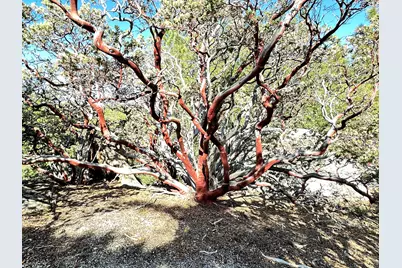 0 Mountain View, Idyllwild, CA 92549 - Photo 10