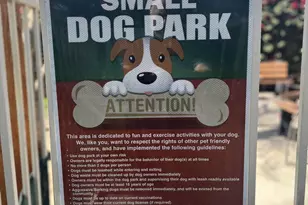 493 Prairie, Cathedral City, CA 92234 - Photo 36