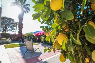 310 Via Don Benito, Cathedral City, CA 92234 - Photo 36