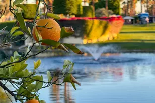 80394 Ave 48, Indio, CA 92201 - Photo 10