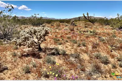 58575 Gerrie Lane, Landers, CA 92285 - Photo 16