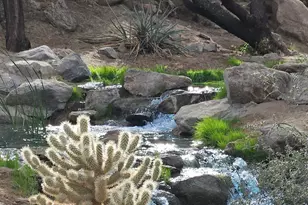 48513 Old Stone Trail, Palm Desert, CA 92260 - Photo 14