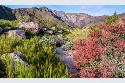 2065 Vista Palizada Drive, Palm Springs, CA 92262 - Photo 6