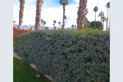 84136 Ave 44,206 #206, Indio, CA 92203 - Photo 8