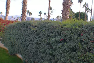 84136 Ave 44 206, Indio, CA 92203 - Photo 8