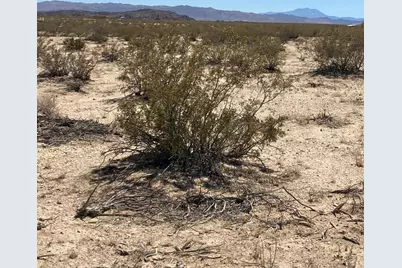 66055 Mars Drive, Joshua Tree, CA 92252 - Photo 6