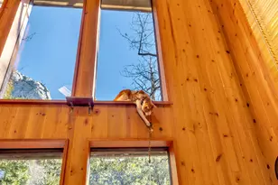 24700 Forest Dr, Idyllwild, CA 92549 - Photo 16