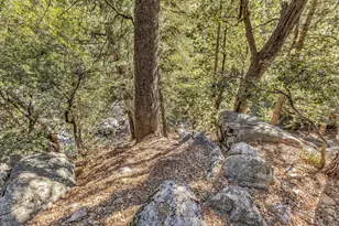 24700 Forest Dr, Idyllwild, CA 92549 - Photo 76