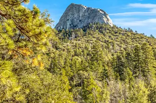 24700 Forest Dr, Idyllwild, CA 92549 - Photo 76