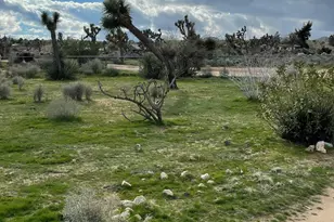 57625 Buena Vista Dr, Yucca Valley, CA 92284 - Photo 18