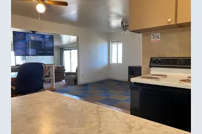 52020 Joshua Tree Road, Johnson Valley, CA 92285 - Photo 22