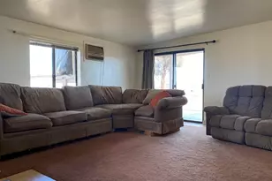 52020 Joshua Tree Rd, Johnson Valley, CA 92285 - Photo 16