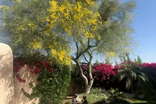 49240 Jfk Trail, Palm Desert, CA 92260 - Photo 58