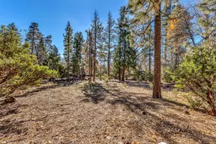 25740 Fir St, Idyllwild, CA 92549 - Photo 50