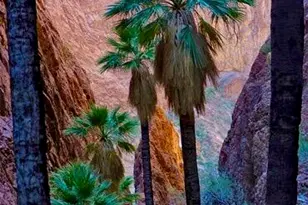 415 Village Square W, Palm Springs, CA 92262 - Photo 70