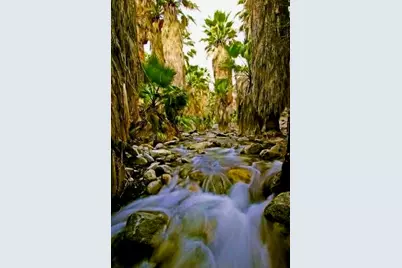 415 Village Square W, Palm Springs, CA 92262 - Photo 68