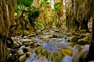 415 Village Square W, Palm Springs, CA 92262 - Photo 68