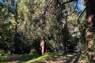 54820 Fern Dr, Idyllwild, CA 92549 - Photo 20