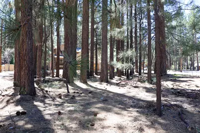 689 Summit Boulevard, Big Bear Lake, CA 92315 - Photo 6
