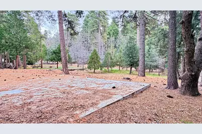 52671 Cedar Drive, Idyllwild, CA 92549 - Photo 4