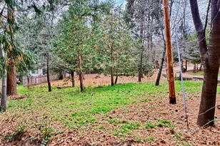 52671 Cedar Dr, Idyllwild, CA 92549 - Photo 1