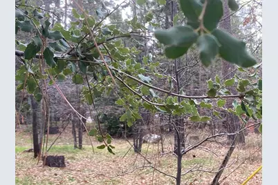 0 Country Club, Idyllwild, CA 92549 - Photo 6