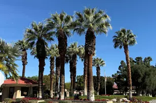 2812 N Auburn Ct, Palm Springs, CA 92262 - Photo 10