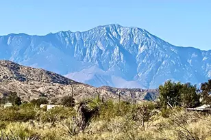 135 Bardell Rd, Morongo Valley, CA 92256 - Photo 1