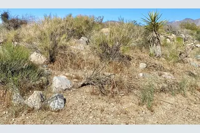 135 Bardell Road, Morongo Valley, CA 92256 - Photo 12