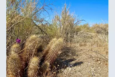 135 Bardell Road, Morongo Valley, CA 92256 - Photo 8