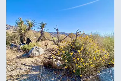 135 Bardell Road, Morongo Valley, CA 92256 - Photo 10