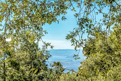 52365 Pine Ridge Road, Idyllwild, CA 92549 - Photo 2