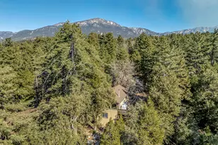 52365 Pine Ridge Rd, Idyllwild, CA 92549 - Photo 4