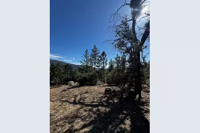 25327 Scenic View Drive, Idyllwild, CA 92549 - Photo 8