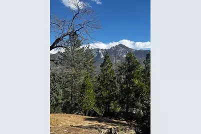 25327 Scenic View Drive, Idyllwild, CA 92549 - Photo 12