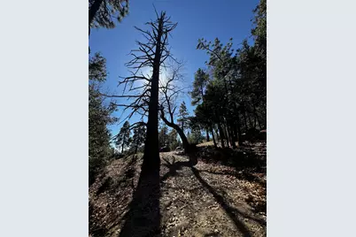 25327 Scenic View Drive, Idyllwild, CA 92549 - Photo 2