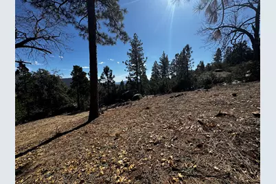 25327 Scenic View Drive, Idyllwild, CA 92549 - Photo 6