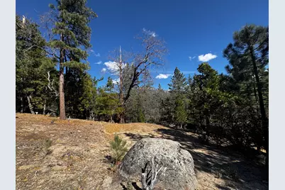 25327 Scenic View Drive, Idyllwild, CA 92549 - Photo 16