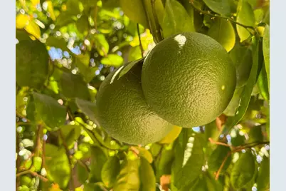 80394 Ave 48 #423, Indio, CA 92201 - Photo 14