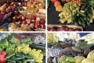 74711 Dillon Rd Spc 95, Desert Hot Springs, CA 92241 - Photo 34