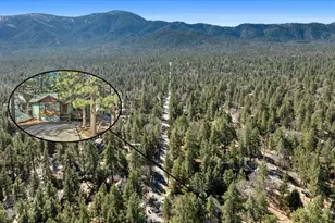 358 Victoria Ln, Sugarloaf, CA 92386 - Photo 6