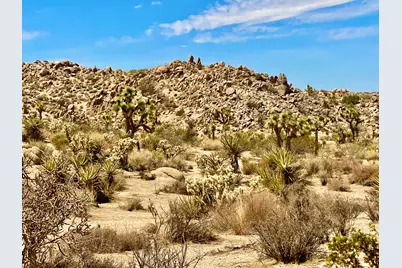 104 Bandera Road, Yucca Valley, CA 92284 - Photo 40