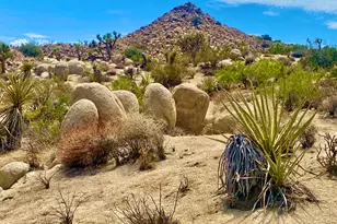 104 Bandera Rd, Yucca Valley, CA 92284 - Photo 1