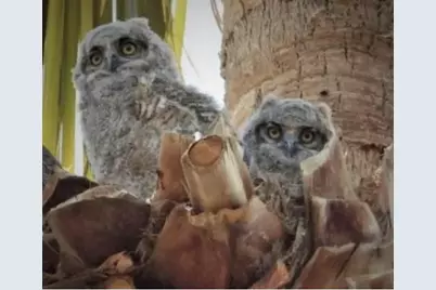 74711 Dillon Rd Spc 1013, Desert Hot Springs, CA 92241 - Photo 24