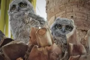 74711 Dillon Rd Spc 1013, Desert Hot Springs, CA 92241 - Photo 24