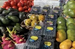 74711 Dillon Rd Spc 1013, Desert Hot Springs, CA 92241 - Photo 22