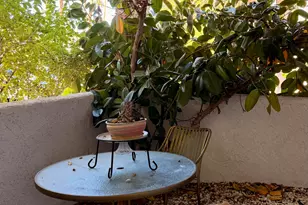 5301 E Waverly Dr, Palm Springs, CA 92264 - Photo 14