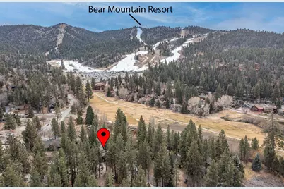 43151 Sheephorn Road, Big Bear Lake, CA 92315 - Photo 4