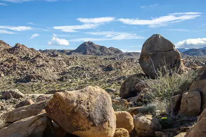 7201 Alturas Drive, Joshua Tree, CA 92252 - Photo 42